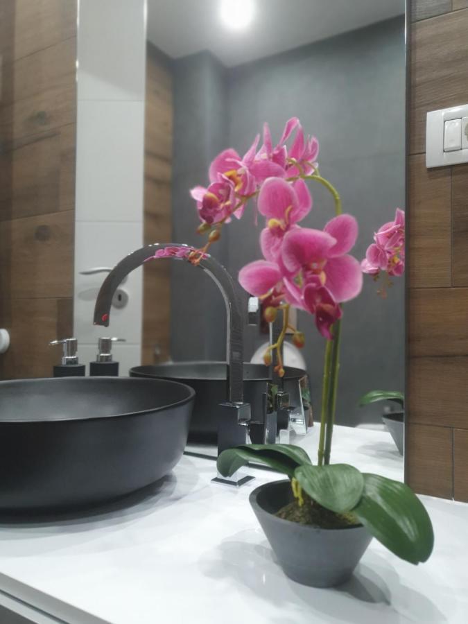 Ale House Appartement Oradea Buitenkant foto